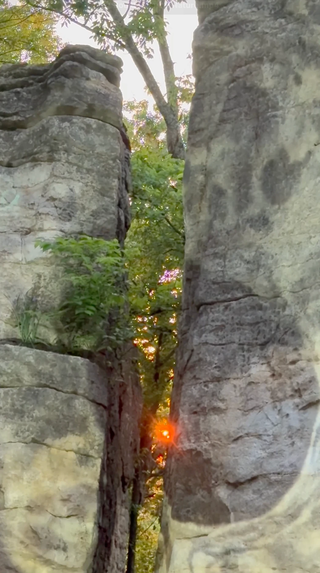 Pale projected forms and deep shadows move across the boulders beside the setting sun.