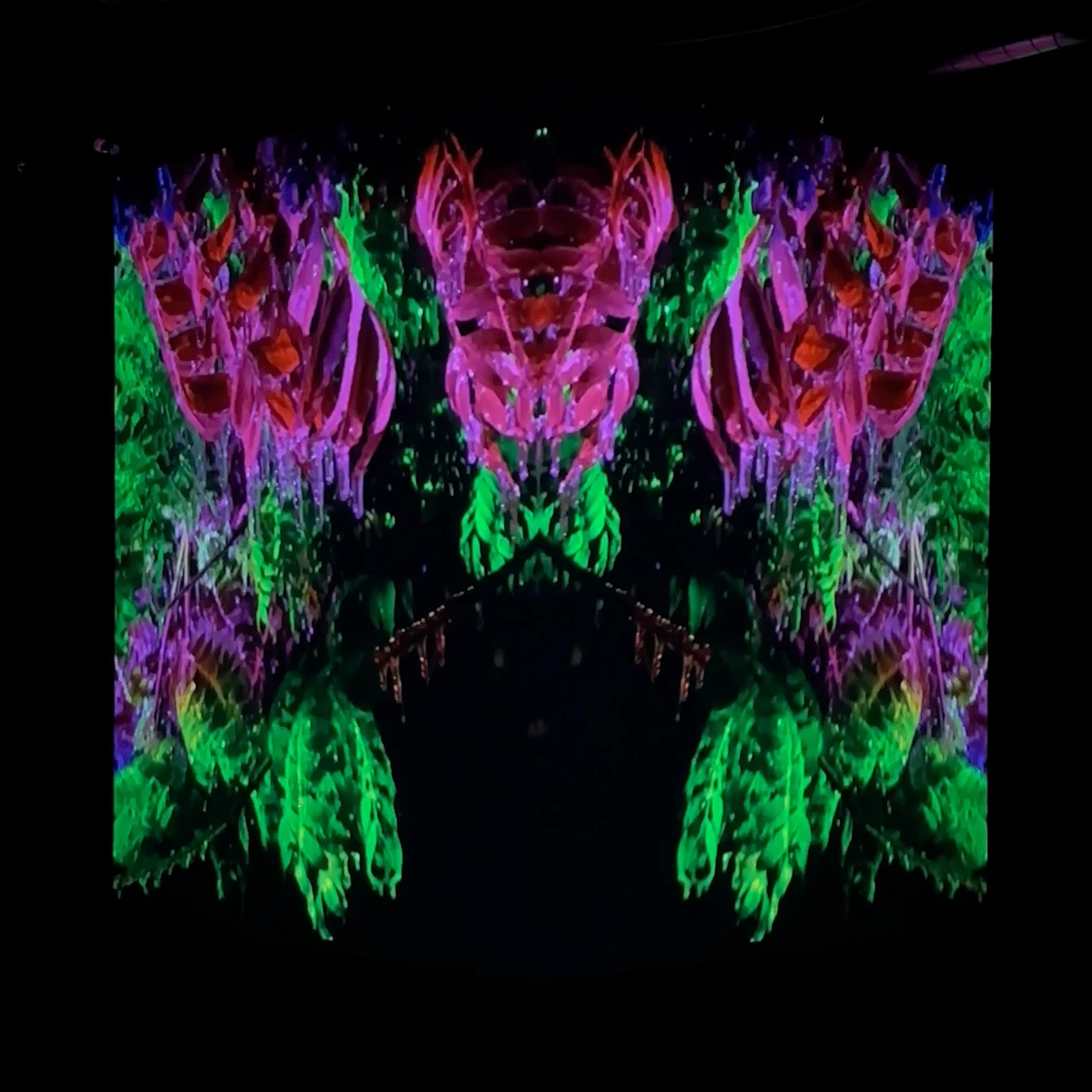 Green leaves and magenta ice-covered branches form a symmetrical projection across the studio cube.