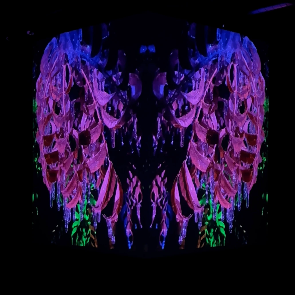 Violet and blue mirrored forms from an ice-covered tree appear across two faces of the studio cube.