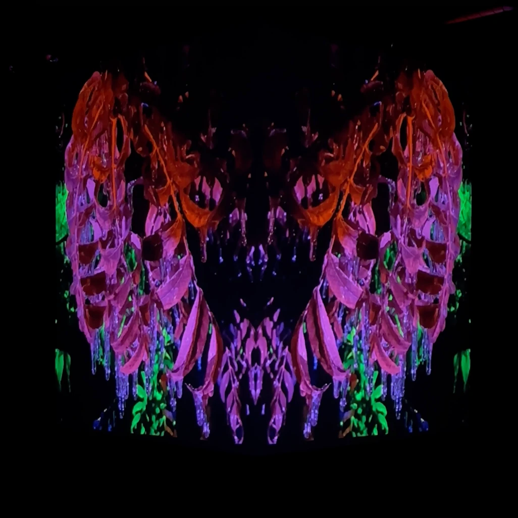 Red and violet mirrored tree forms create layered faces across the studio cube.